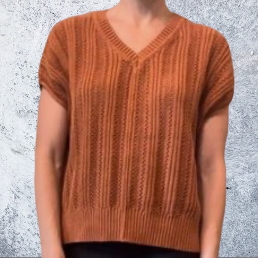 Joie Sweater Vest size large NWT